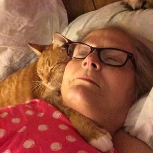 Meet your Posher, Sandy